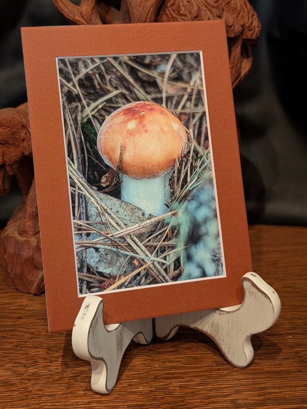 Original Photography Mushroom 5x7 Brown Matted Print